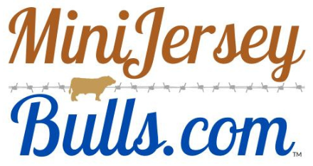 MiniJerseyBulls.com